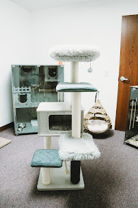 The Fur Seasons Pet Resort - Photo 8 - Car repair in Wichita, KS, Wichita