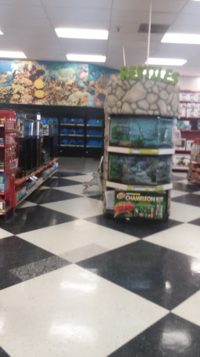 Pet Supply Store «Petco Animal Supplies», reviews and photos, 1410 N Loop 336 W, Conroe, TX 77304, USA