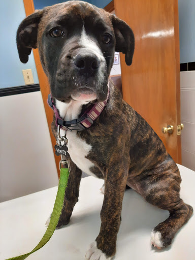 1777 Mentor Ave, Painesville, OH 44077, USA