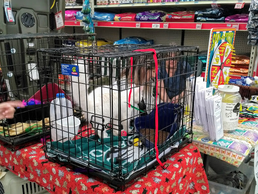 Home Improvement Store «Tractor Supply Co.», reviews and photos, 321 N 3rd St, Oxford, PA 19363, USA