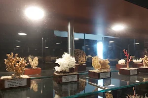 Museo Mares de Cedeira image