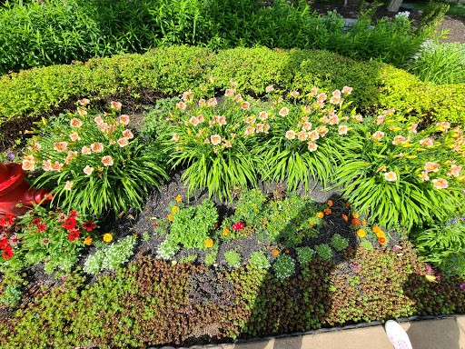 Park «Veterans Park», reviews and photos, 1 Naval Park Cove, Buffalo, NY 14202, USA