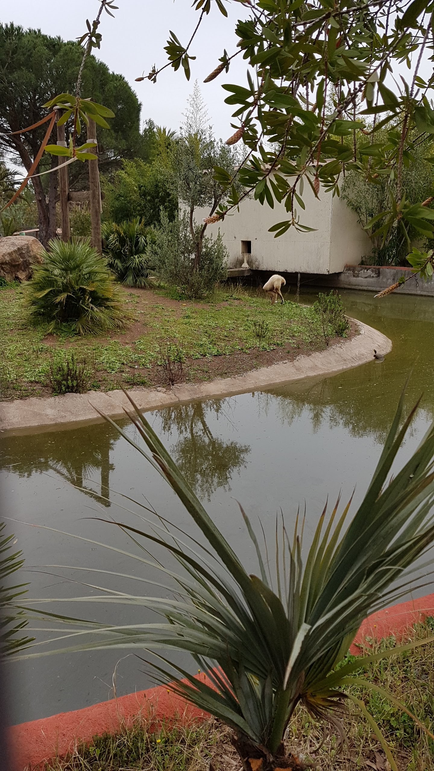 Photo n° 41 de l'avis de Isabelle.e fait le 16/04/2019 à 22:21