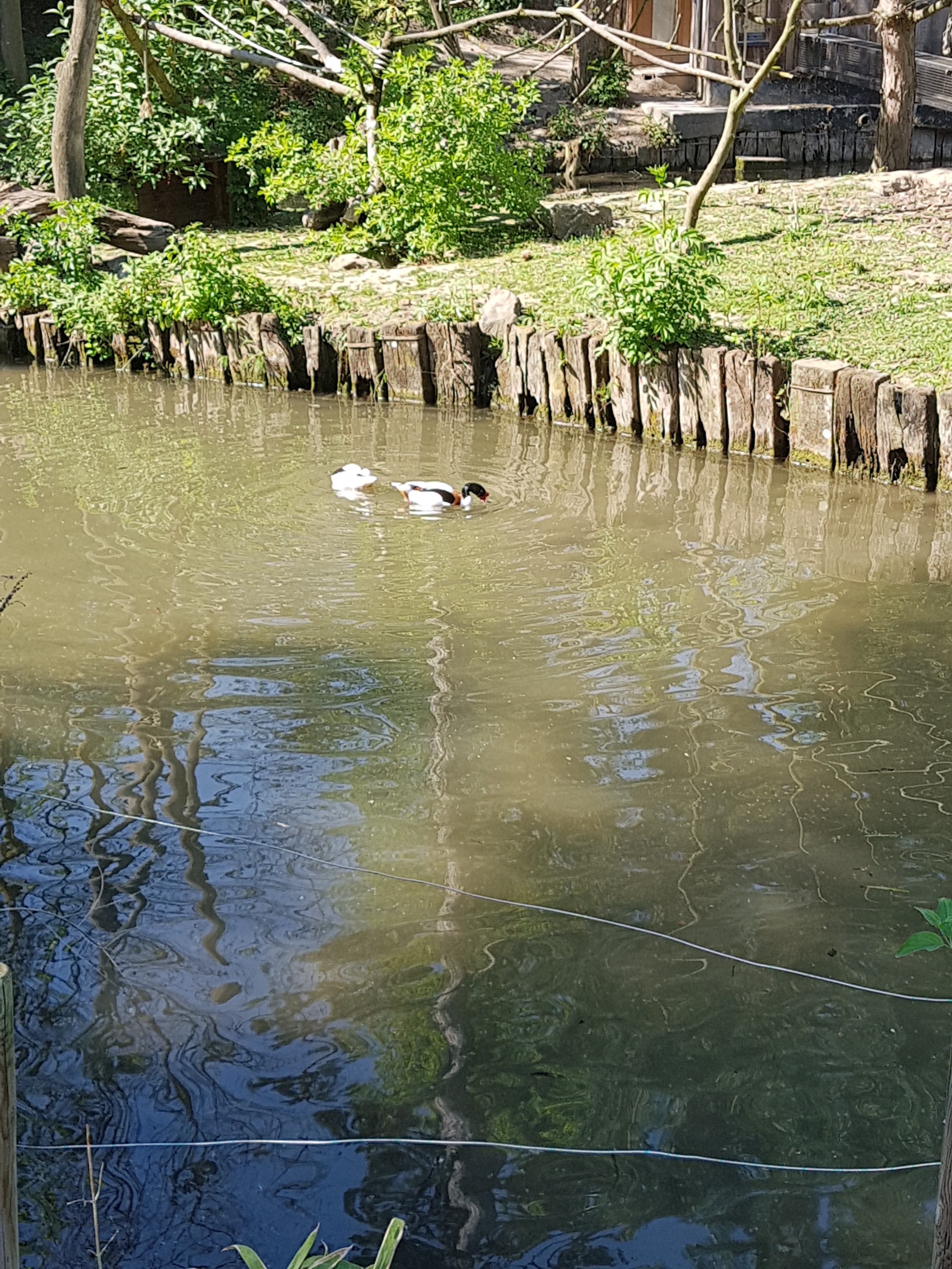 Photo n° 22 de l'avis de Celia.a fait le 30/04/2019 à 08:20