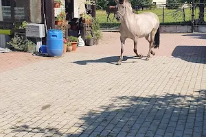 The dam stable. agriturismo image