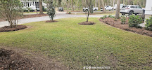 lawn teacher - Photo 6 - Car repair in Savannah, GA, Savannah