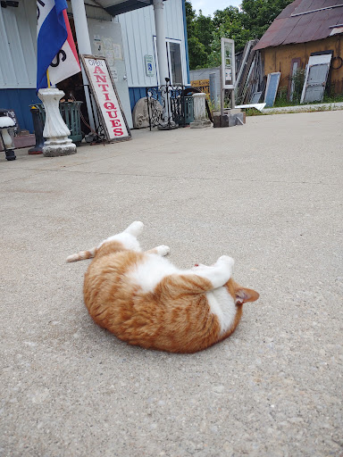 Antique Store «Architectural Antiques Of Indianapolis», reviews and photos, 5000 West 96th Street, Indianapolis, IN 46268, USA