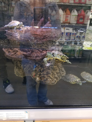 Pet Supply Store «Petco Animal Supplies», reviews and photos, 1574 N Dupont Hwy #300, Dover, DE 19901, USA