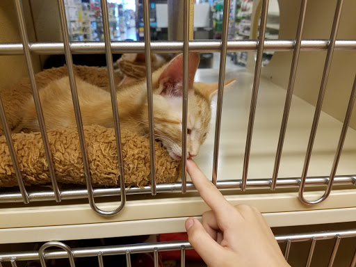 Pet Supply Store «PetSmart», reviews and photos, 15615 E Broadway Ave, Spokane Valley, WA 99037, USA
