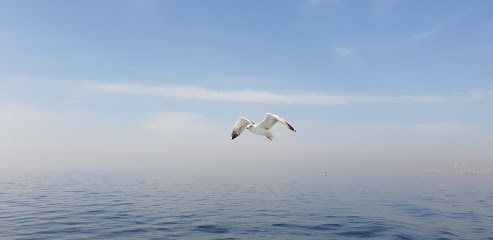 Marmara Adası