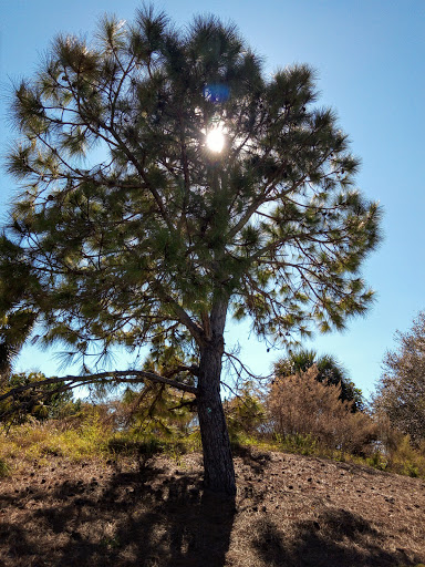 Golf Shop «Loxahatchee Club-Golf Shop», reviews and photos, 1350 Echo Dr, Jupiter, FL 33458, USA