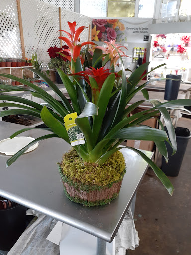 Florist «The Flowerman Inc.», reviews and photos, 2450 E Foothill Blvd, Pasadena, CA 91107, USA