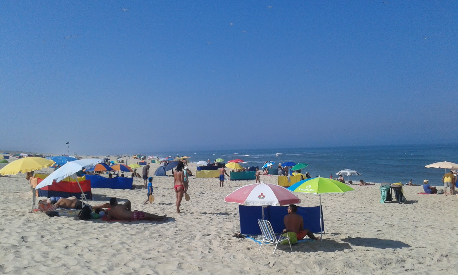 Photo of Praia da Tocha with long straight shore