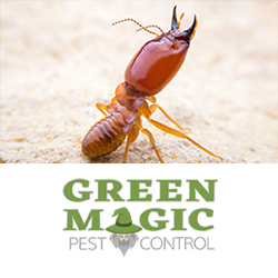 Green Magic Pest Control LLC