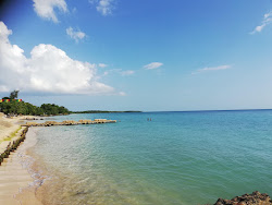 Belmont Sands'in fotoğrafı ve güzel manzarası