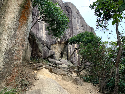 Monkey Buttress Climbing Area