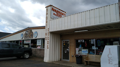 Woods' Gun & Pawn Shop in Lexington, Tennessee