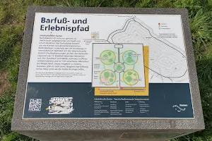 Barfußpfad - Lippepark image