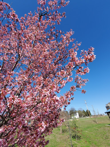 Park «Gough Park», reviews and photos, 9300 Honeygo Blvd, Perry Hall, MD 21128, USA