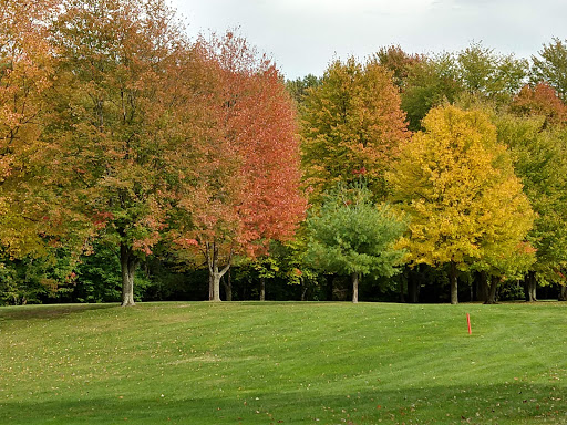 Golf Course «Arcadia Hills Golf Course», reviews and photos, 3801 Haines Rd, Attica, MI 48412, USA