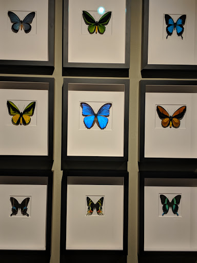 Event Venue «Gallery of Amazing Things», reviews and photos, 481 S Federal Hwy, Dania Beach, FL 33004, USA