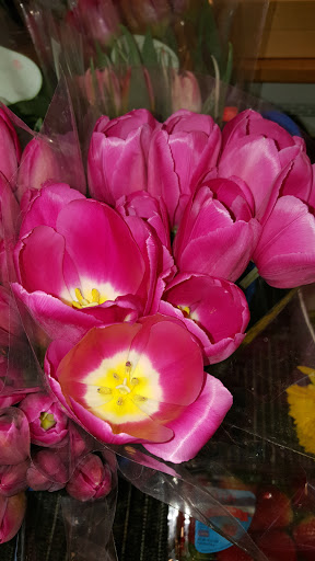 Market «E Z Orchards Farm Market», reviews and photos, 5504 Hazelgreen Rd NE, Salem, OR 97305, USA