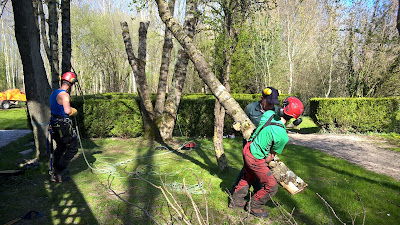 Arbor Environnement SARL à Vulaines