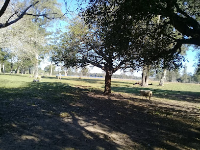 Corrientes Loro Park