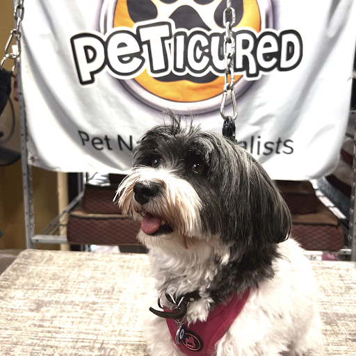 Pet Supply Store «Wags To Wiskers Pet Supplies», reviews and photos, 2423 W Stadium Blvd, Ann Arbor, MI 48103, USA