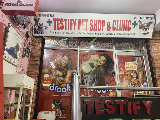 Testify Pet Shop & Dog Clinic - Puppies For Sale in Delhi | Gurgaon | Noida| Faridabad