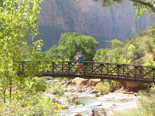 Bankruptcy Attorney «Virginia E. Fortunato, Esq.», reviews and photos