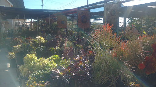Florist «Plant Safari», reviews and photos, 653 N Central Ave, Upland, CA 91786, USA
