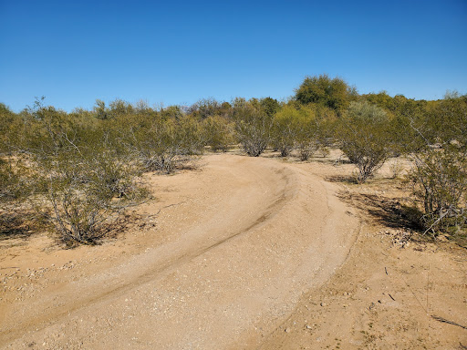 100 Acre Wood Bike Park