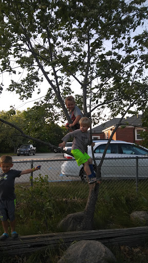 Park «Hollingsworth Park», reviews and photos, 348 Pond St, Braintree, MA 02184, USA