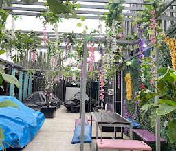 De Renaissance photo