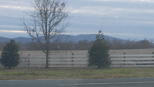 Grocery Store «Somerset Center Store», reviews and photos, 9058 Constitution Hwy, Somerset, VA 22972, USA