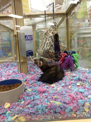 Pet Supply Store «Pet Supermarket», reviews and photos, 268 Grande Heights Dr, Cary, NC 27513, USA