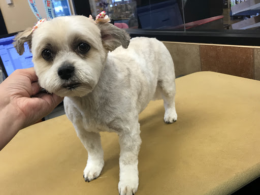 Pet Supply Store «PetSmart», reviews and photos, 476 Corwin Nixon Blvd, South Lebanon, OH 45065, USA