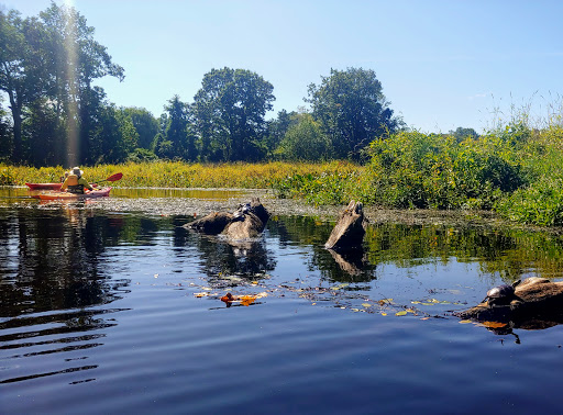 State Park «Bradley Palmer State Park», reviews and photos, 40 Asbury St, Topsfield, MA 01983, USA