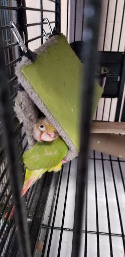 Pet Supply Store «House of Pets Inc», reviews and photos, 29500 Ford Rd, Garden City, MI 48135, USA