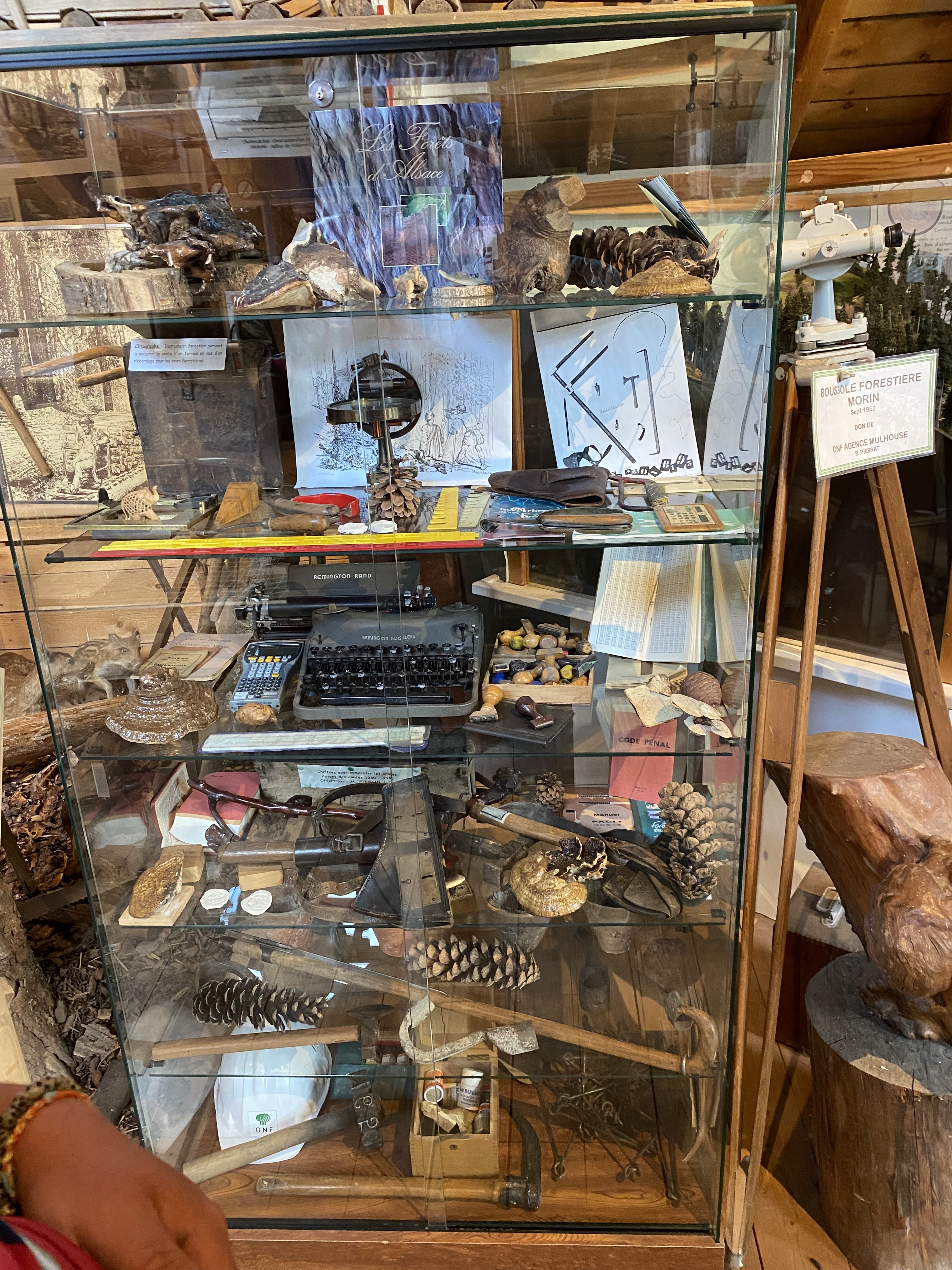 Photo n° 14 de l'avis de Allan.r fait le 08/07/2023 à 20:19