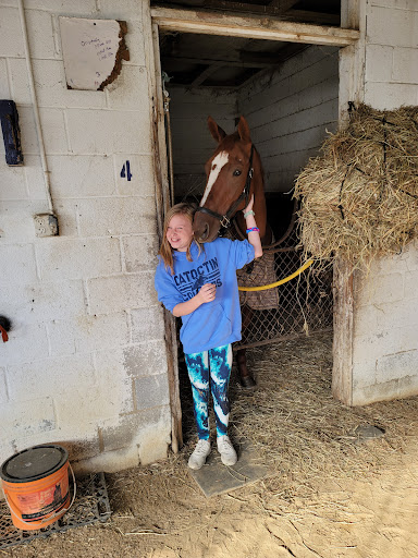 Auto Insurance Agency «Connie Phillips Insurance Financial», reviews and photos