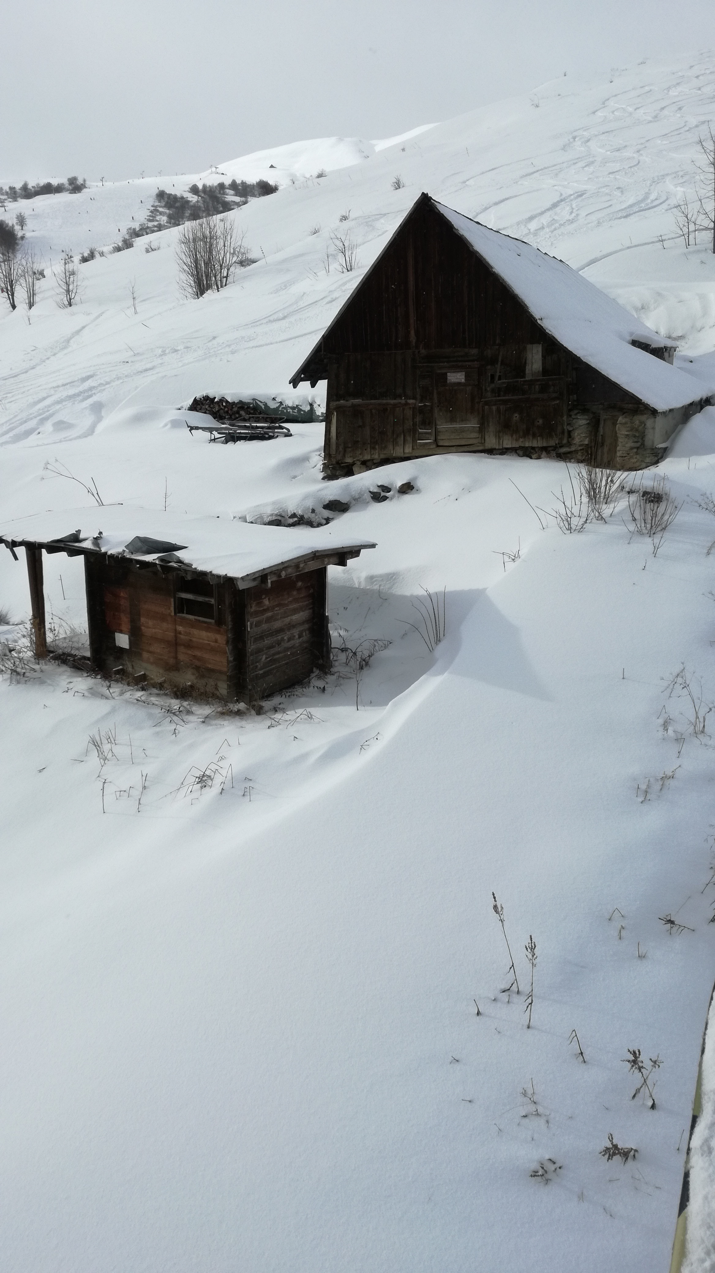 Photo n° 11 de l'avis de Méryl.u fait le 19/01/2019 à 08:17