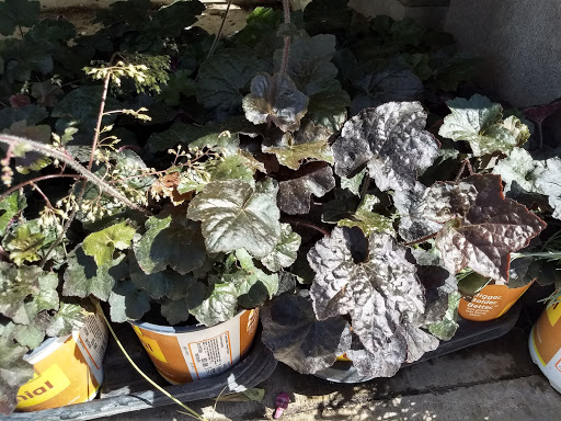 Home Improvement Store «The Home Depot», reviews and photos, 350 N Orchard Ave, Ukiah, CA 95482, USA