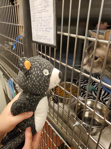 Pet Supply Store «PetSmart», reviews and photos, 1734 Walden Ave, Cheektowaga, NY 14225, USA