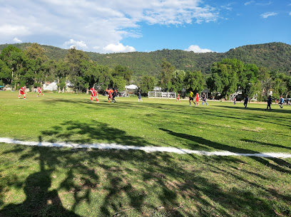 Campo Deportivo - C. B. Juárez, 52425 Tecomatlán, Méx., Mexico