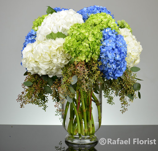Florist «Rafael Florist», reviews and photos, 891 4th St, San Rafael, CA 94901, USA