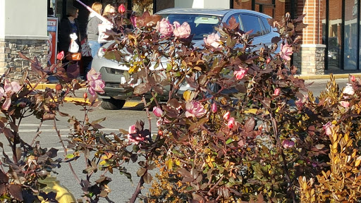 Pet Supply Store «PetSmart», reviews and photos, 3045 Festival Way, Waldorf, MD 20601, USA