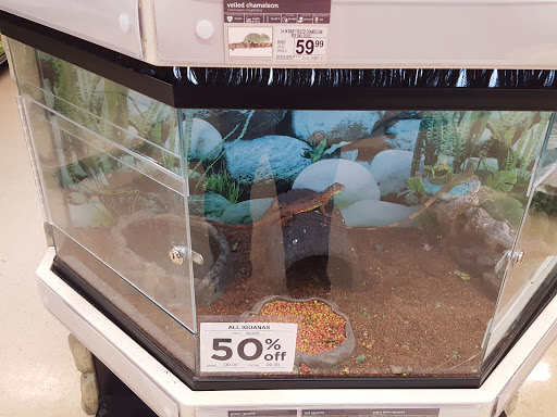 Pet Supply Store «Petco Animal Supplies», reviews and photos, 10315 E Shelby Dr, Collierville, TN 38017, USA