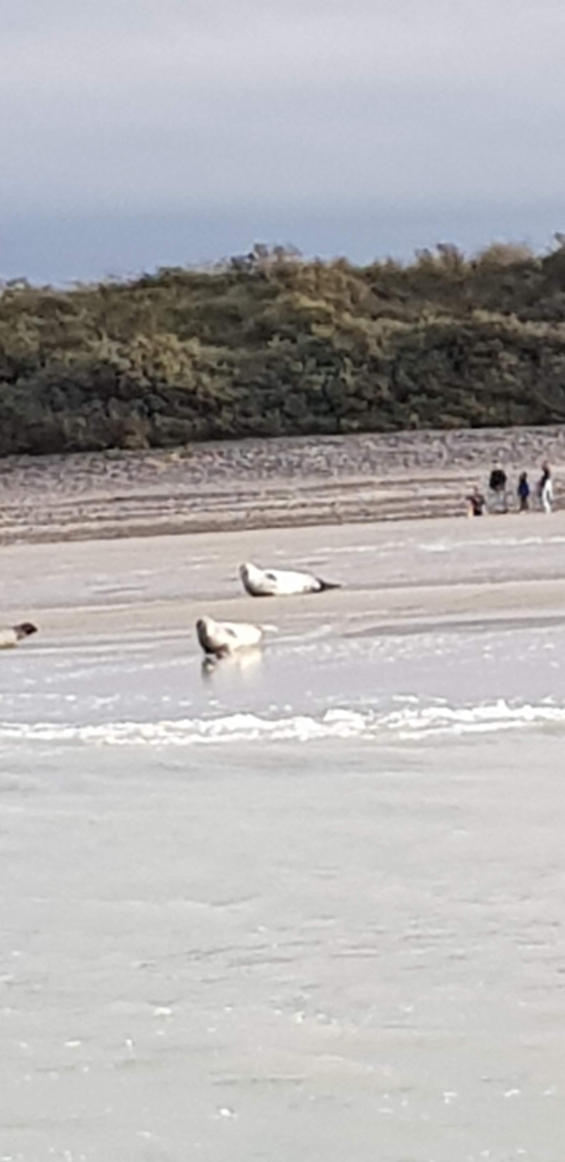 Photo n° 4 de l'avis de Thomas.a fait le 02/11/2019 à 14:04